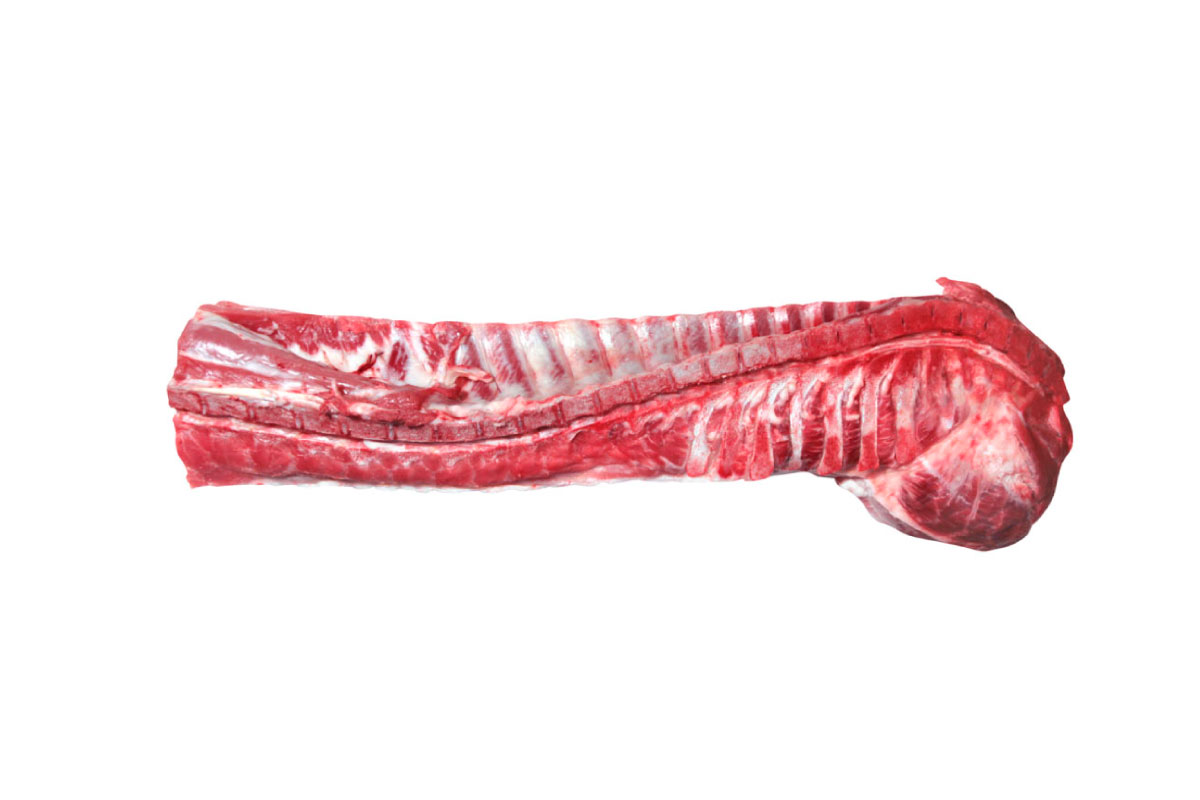 Loin bone