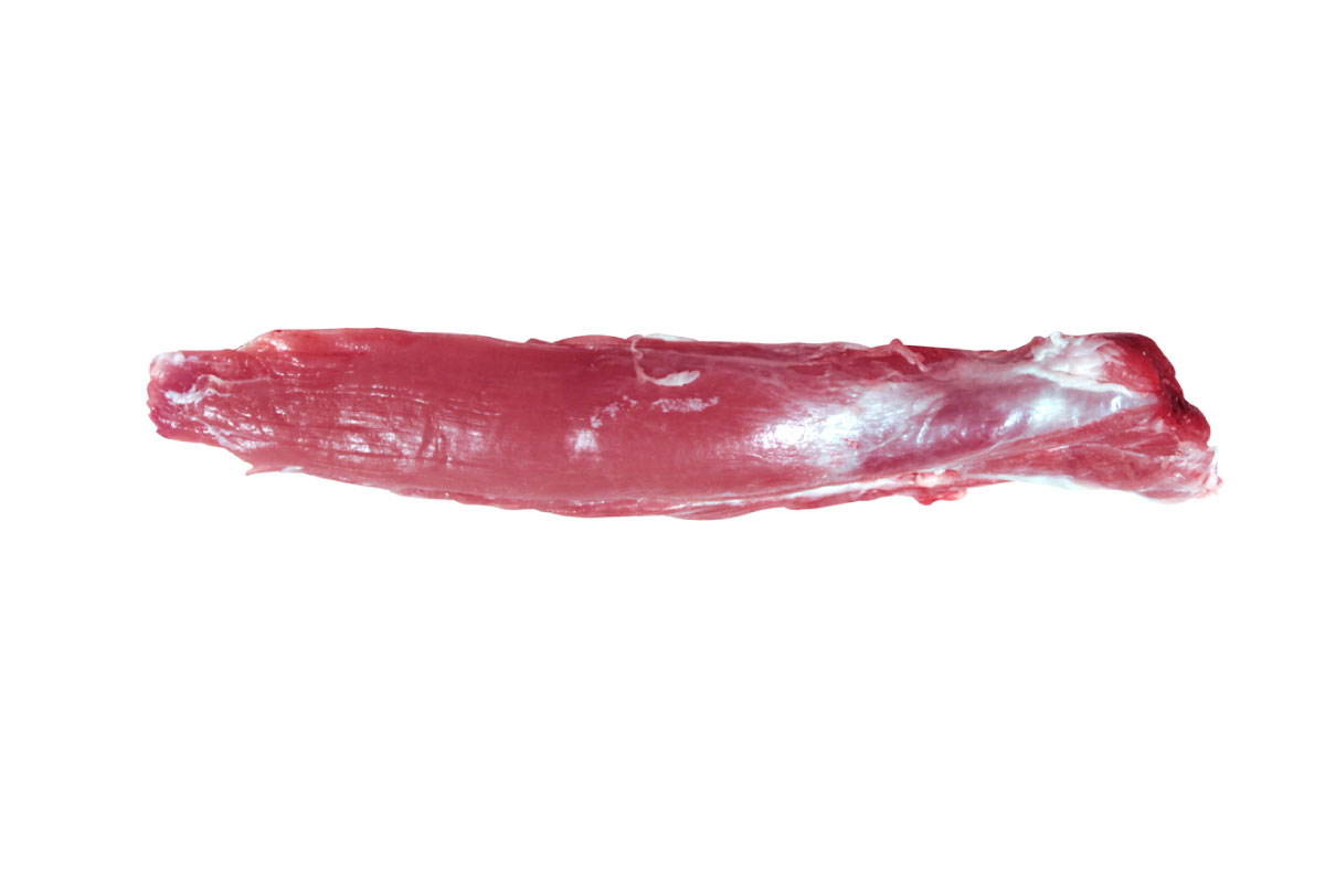 Solombo con cabeza con cordón