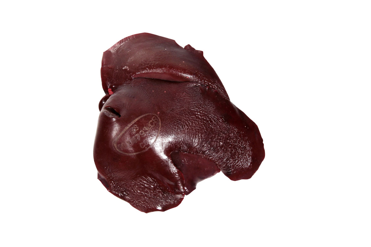 Liver