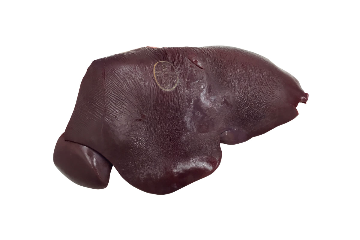 Liver